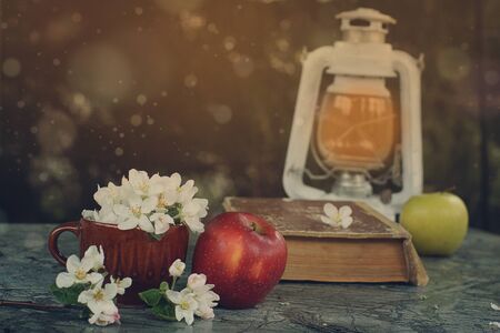 Still life with a lantern, apples and a big book on a green marble table, soon to school.の写真素材
