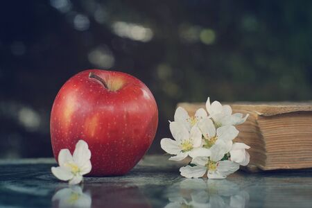 Ripe red apple and delicate white flowers on the table.の写真素材