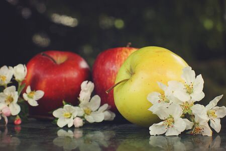 Still life with red and yellow apples and delicate white flowers on the table.の写真素材