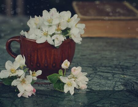 Tender white flowers of apple tree in clay mug on the table.の写真素材
