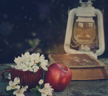 Still life with a lantern, a red apple and a big book on a green marble table, soon to school.の写真素材