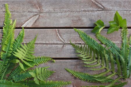 Wooden plank background with green fern leaves in the corners. Copy space for your textの写真素材