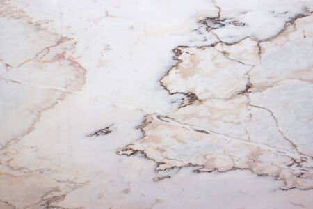 A large slab of natural stone of pink and white color with veins is called Bianco Rosa Portugalo.の写真素材