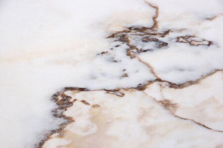 The pink-white natural stone with veins is called Bianco Rosa Portugalo.の写真素材