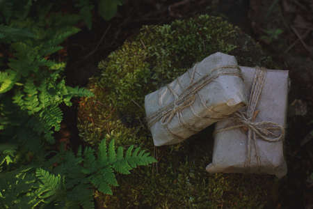 Two gifts wrapped in craft paper lie on a stump near ferns in the summer.の写真素材