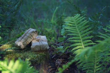 Two gifts wrapped in craft paper lie on a stump near ferns in the summer.の写真素材