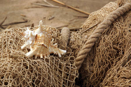 The shell is entangled in a fishing net on the seashore.の写真素材