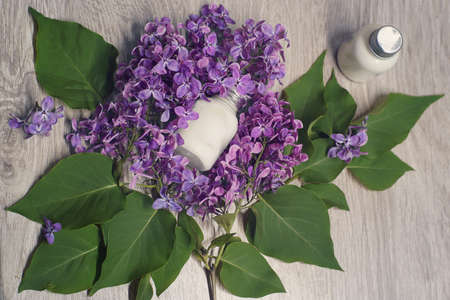 Two jars of white cosmetic product surrounded by a very beautiful bunch of lilacs, spa concept