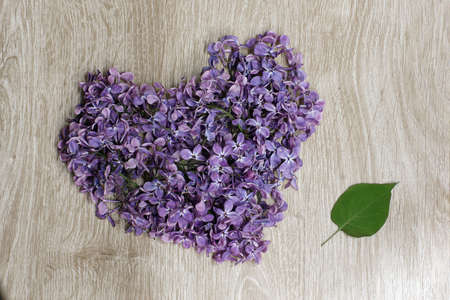 Natural concept purple heart made of lilac flowers laid out on a wooden background, top view, near a green leaf, spa conceptの写真素材