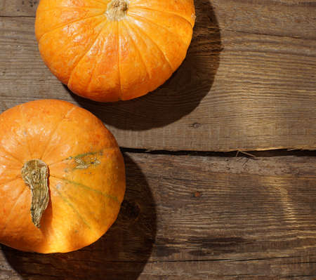 Two pumpkins lie on a wooden table.の写真素材