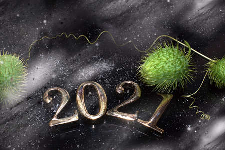 Gold metal numbers 2021 on a dark table covered with snow next to green creative plants