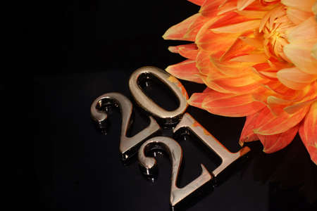 Lettering from numbers laid out in two rows 2021 and a beautiful flower red dahlias