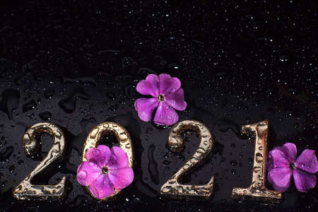 Wet numbers 2021 on a dark background with pink flowers