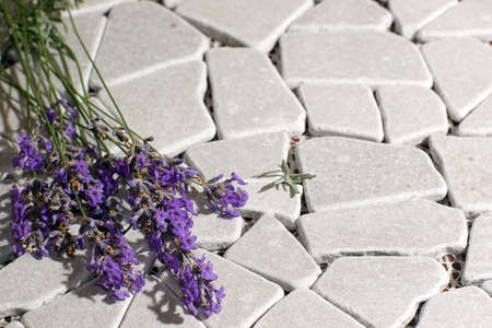 A bunch of lavender lies on gray stones.の写真素材