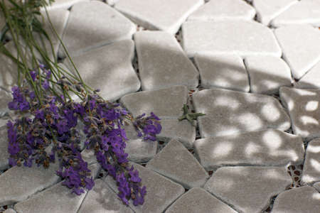 A bouquet of lavender lies on gray stones in the shade.の写真素材