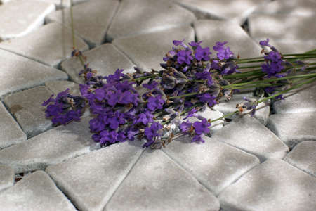 A bouquet of lavender lies on gray tiled stones in openwork shade.の写真素材