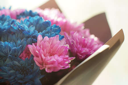 A bouquet of pink and blue flowers stands by the window.の写真素材