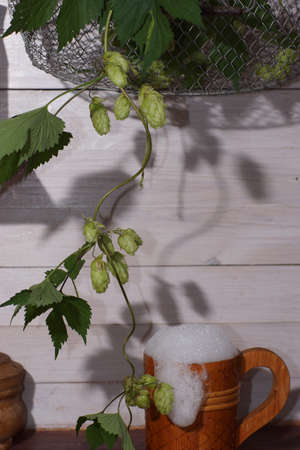 Beautiful wooden beer mug full of beer and foam on the table with hop plant hanging from a basket.の写真素材