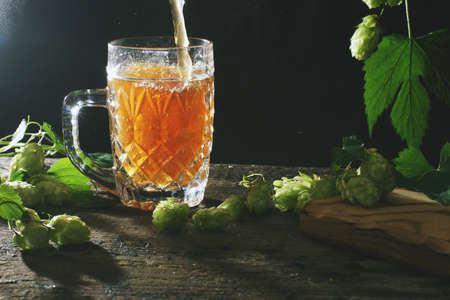 Beer is poured into a large glass mug, black background and hop plants nearby.の写真素材