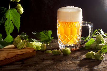 Beer with foam is poured in a glass mug, black background and hop plants nearby.の写真素材