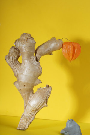 Figure of a fat woman made of ginger with a physalis flower on yellow.の写真素材