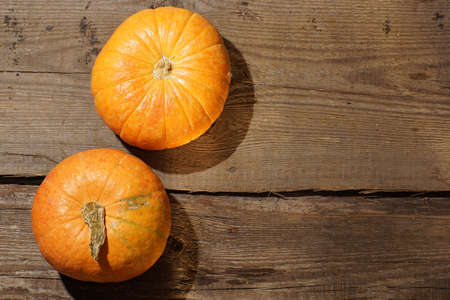 Two pumpkins lie on a wooden table lit by sunlightの写真素材