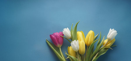 Bouquet of tulips on a blue backgroundの写真素材