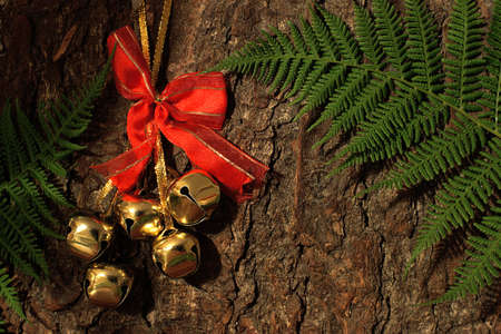 Golden bells on the bark of a tree with a fernの写真素材