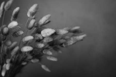 Custom decoration for the roomの写真素材