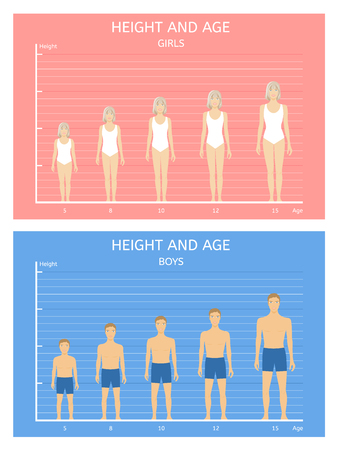 Height and age. Boys and girls from five to fifteen yearsのイラスト素材