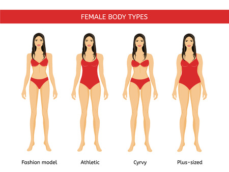 Set of Female body types: fashion model, athletic, curvy and plus sizeのイラスト素材