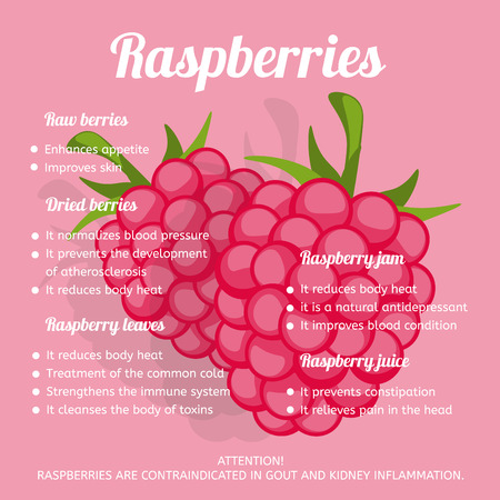 Raspberries benefits. Infographicsのイラスト素材