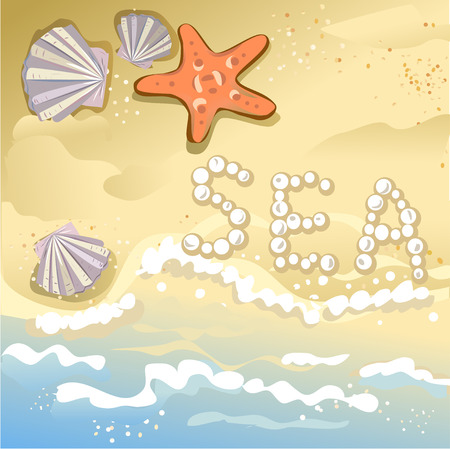 background of sea and beach, starfish and seashells. vector illustrationのイラスト素材