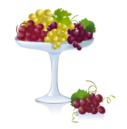 bowl with grapes. vector illustrationのイラスト素材