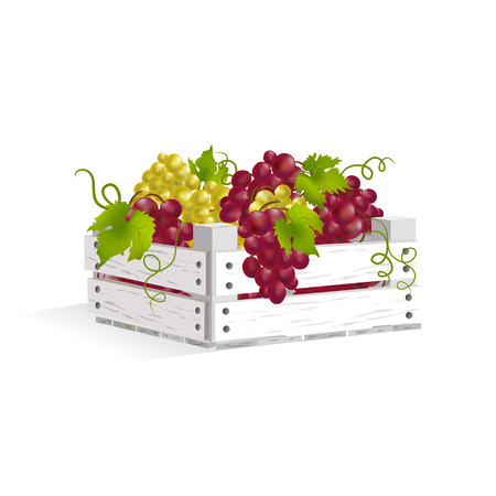wooden box with grapes. のイラスト素材