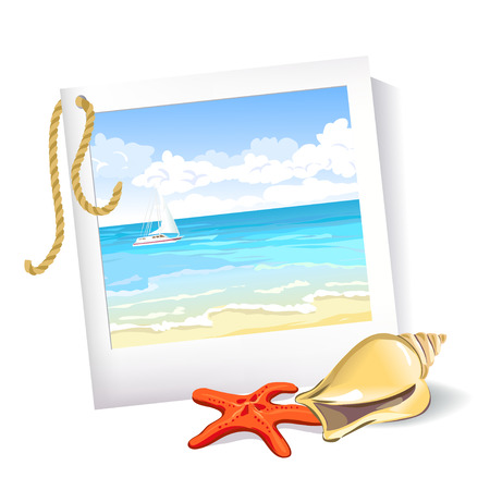 summer sea photo, starfish, shell. のイラスト素材