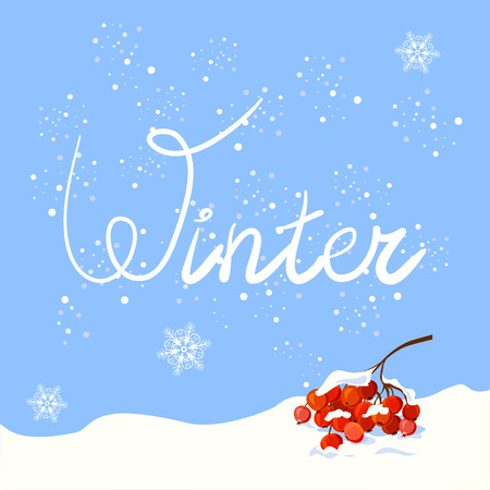 winter. hand drawn lettering. illustration of a Rowan branchのイラスト素材