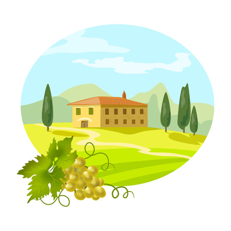rural Tuscan landscape with a branch of grapes. vector illustrationのイラスト素材