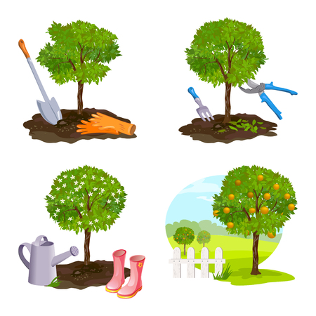 set of tree planting, work in the garden. vector illustrationのイラスト素材