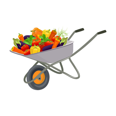Garden trolley with the harvest of vegetables. vector illustrationのイラスト素材