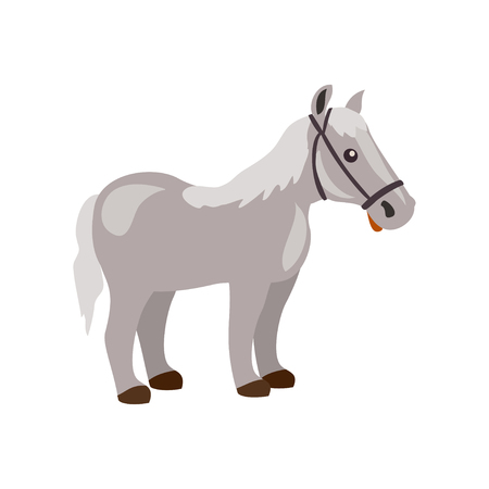 cartoon horse isolated. vector illustrationのイラスト素材