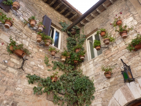 A house in San Marino decorated with pots of flowersの写真素材