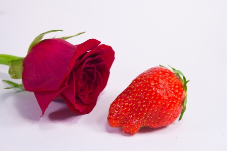 Rose and strawberryの写真素材