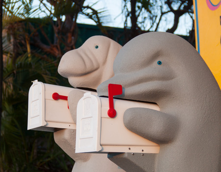 White mailboxの写真素材