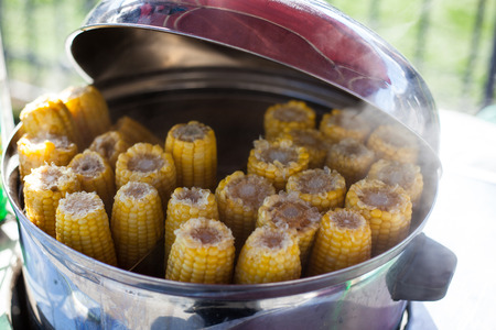 Steam corn on the cobの写真素材