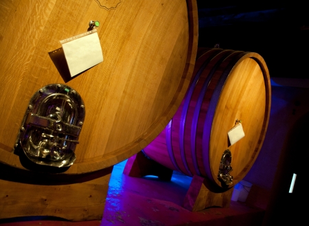 Wine barrel rack (Italy, Franciacorta)の写真素材