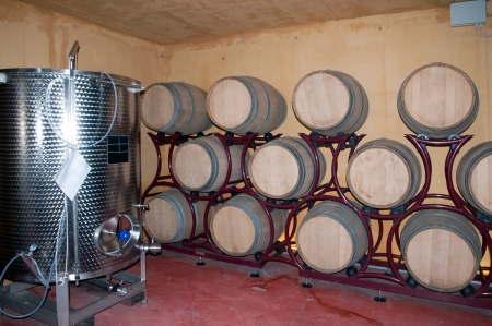 Wine barrel rack (Italy, Franciacorta)の写真素材