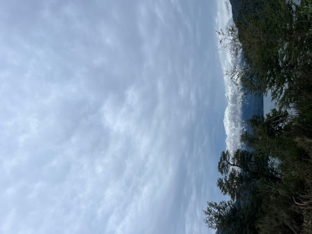 Clouds in the blue sky over the forest. Beautiful natural background.
