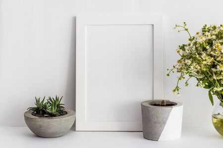 White wooden photo frame with cactus in a pot and daisiesの写真素材