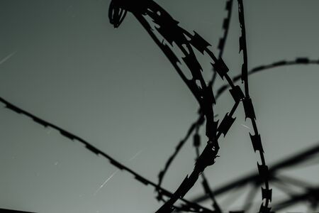 Silhouette of old barbed wire at dusk. The terrible oppressive background of the restricted areaの写真素材